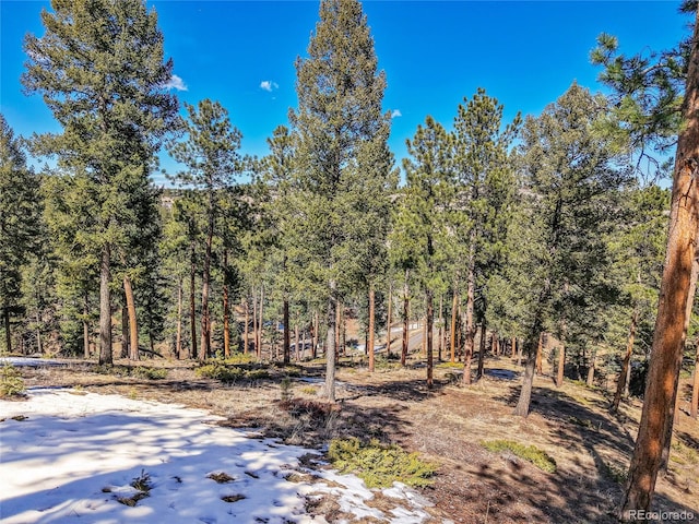 3325 Timbergate Trl, Evergreen, CO 80439