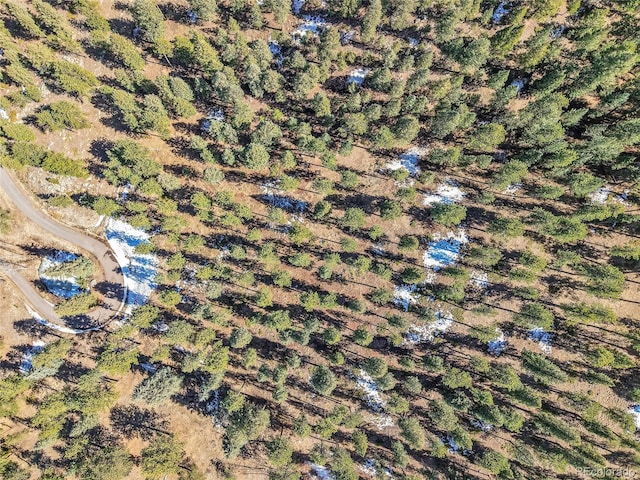 3325 Timbergate Trl, Evergreen, CO 80439