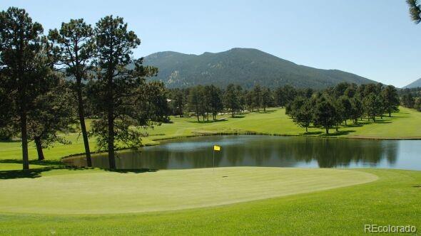 3325 Timbergate Trl, Evergreen, CO 80439