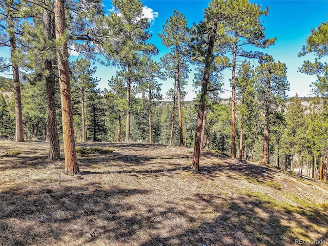3325 Timbergate Trl, Evergreen, CO 80439