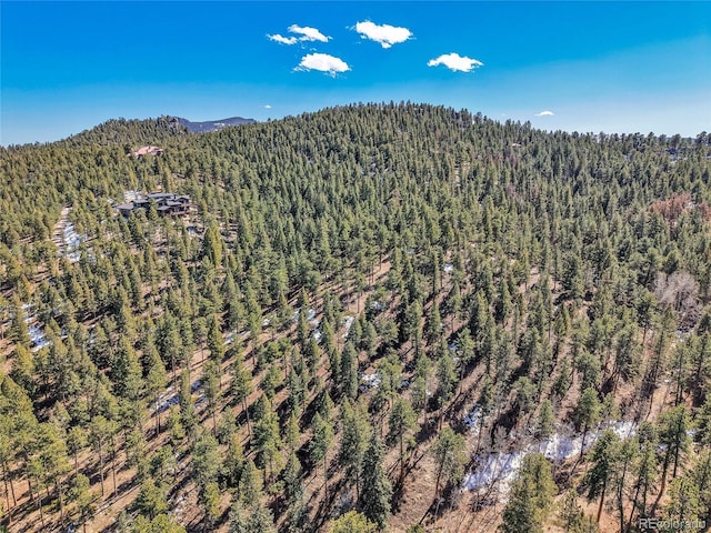 3325 Timbergate Trl, Evergreen, CO 80439