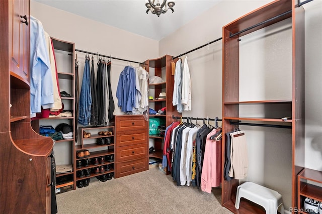 walk in closet with carpet floors