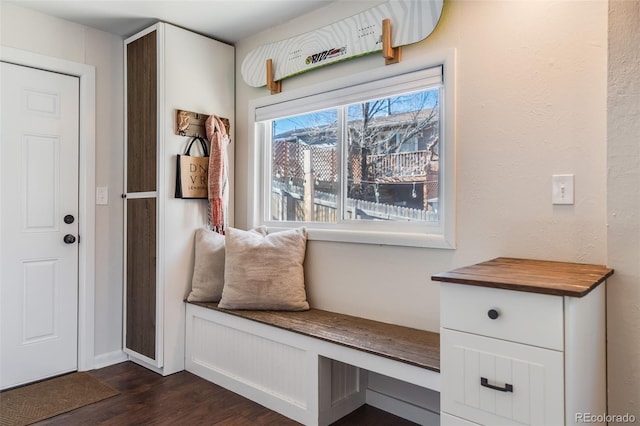 mudroom featuring dark wood finished floors