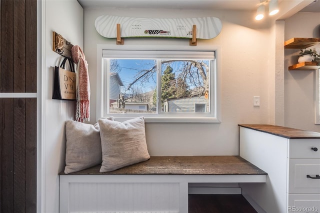 view of mudroom