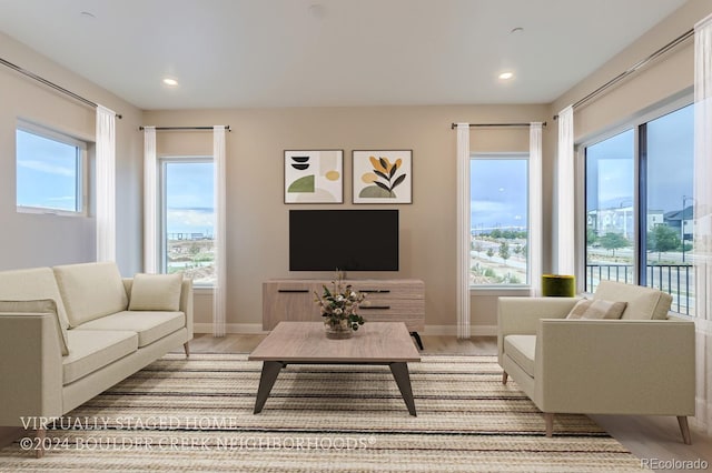 living room with light hardwood / wood-style flooring and a wealth of natural light