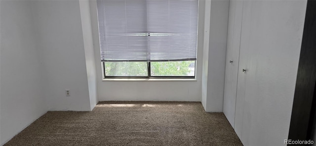 220 Wright St Unit 302, Lakewood, CO 80228 - photo 13