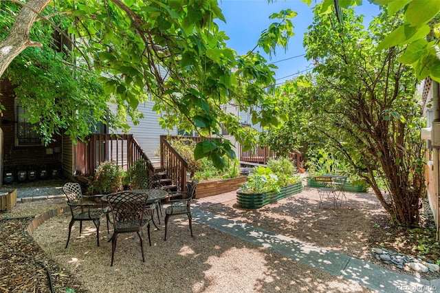 view of yard featuring a patio area