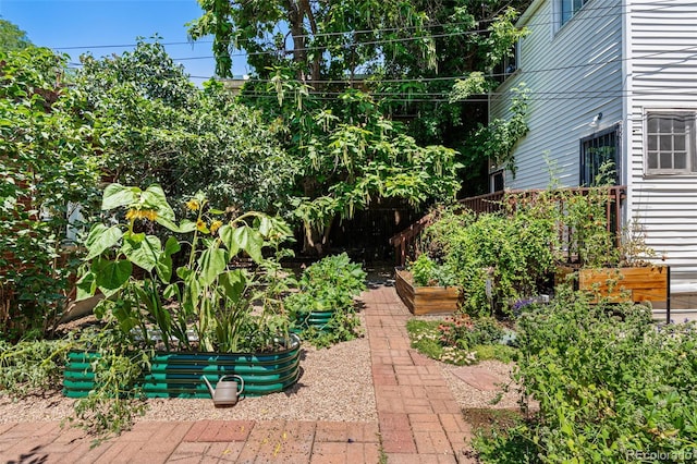 view of yard with a garden