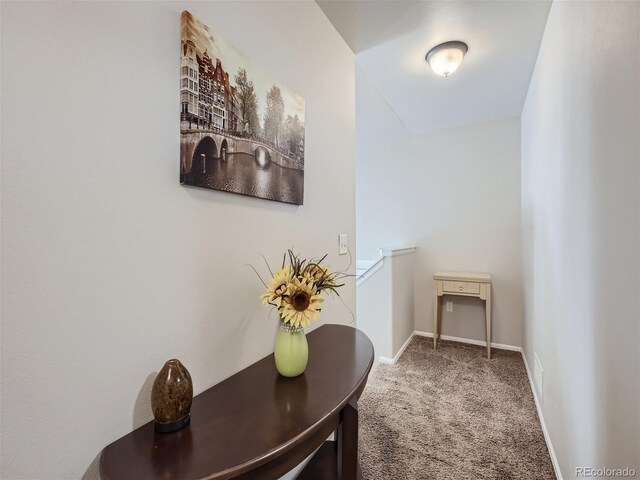 hallway featuring carpet floors