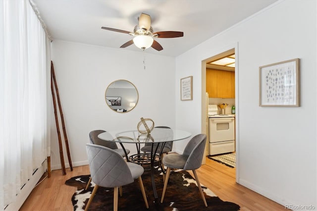 dining room with ceiling fan and light hardwood / wood-style floors