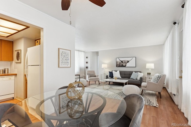 living room featuring ceiling fan, plenty of natural light, and light hardwood / wood-style floors