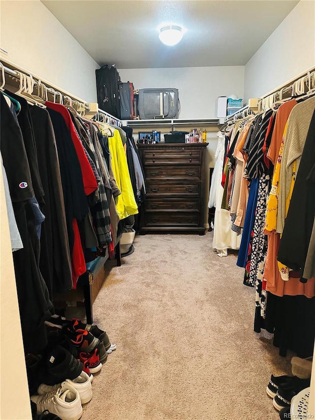 walk in closet with light colored carpet