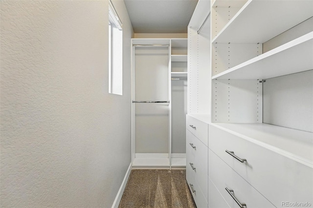 spacious closet featuring dark carpet