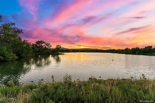 property view of water