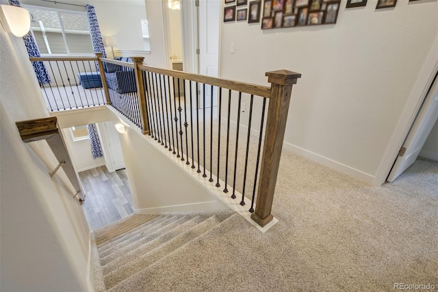 9074 Peaceful Valley Rd, Colorado Springs, CO 80925 - photo 18