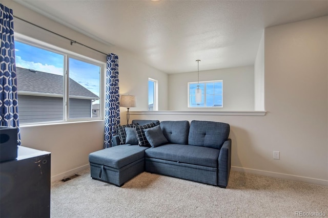 9074 Peaceful Valley Rd, Colorado Springs, CO 80925 - photo 20
