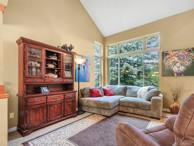 3648 Heatherwood Way, Evergreen, CO 80439 - living area featuring light colored carpet and high vaulted ceiling