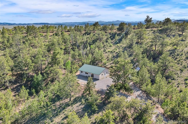 birds eye view of property featuring a mountain view