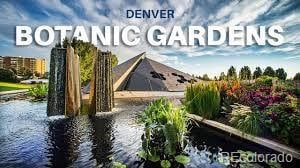 1060 N Washington St Unit 1A, Denver, CO 80203 - view of miscellaneous property collateral