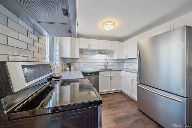kitchen with appliances with stainless steel finishes, custom exhaust hood, a sink, backsplash, and dark wood-type flooring