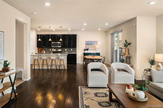 living room featuring sink and dark wood-type flooring