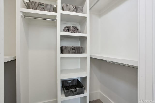 2442 Champa St, Denver, CO 80205 - view of walk in closet