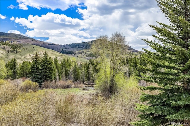 133 Creek Ln, Silverthorne, CO 80498 - view of mountain background with a heavily wooded area