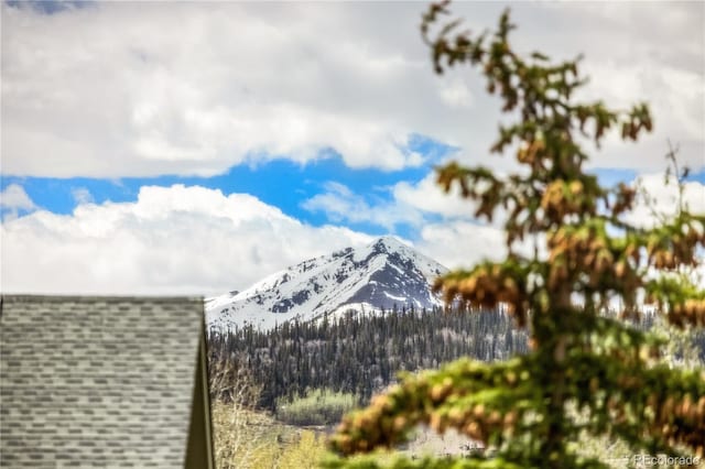 133 Creek Ln, Silverthorne, CO 80498 - mountain view