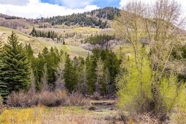 133 Creek Ln, Silverthorne, CO 80498 - view of mountain backdrop featuring a forest