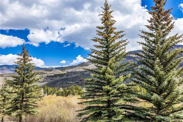 133 Creek Ln, Silverthorne, CO 80498 - mountain view