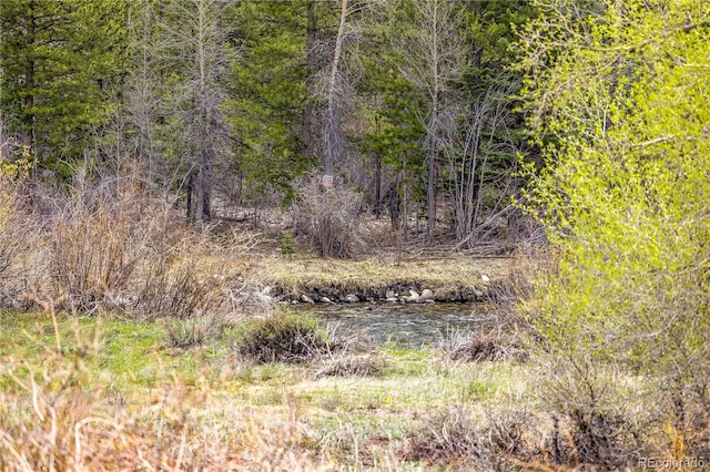 133 Creek Ln, Silverthorne, CO 80498 - view of local wilderness