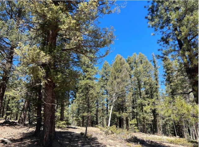 121 W Lake Dr, Divide CO, 80814 land for sale