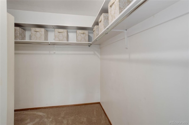 spacious closet with carpet floors