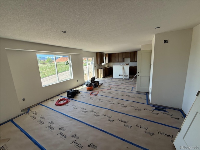 711 Little Bear Grv, Colorado Springs, CO 80907 - photo 4