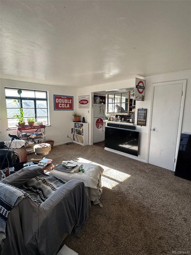 1265 Yates St, Denver, CO 80204 - view of carpeted living room