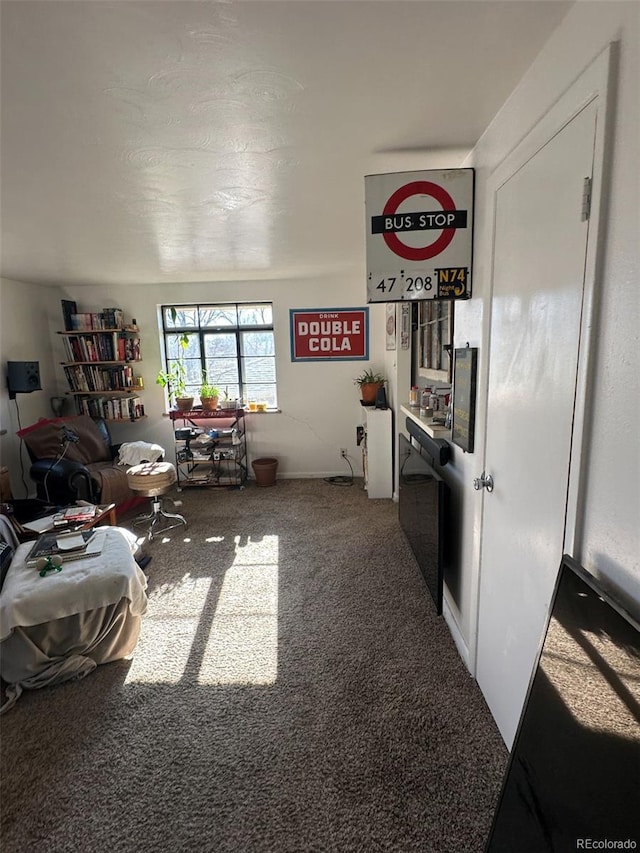 1265 Yates St, Denver, CO 80204 - living room featuring carpet floors