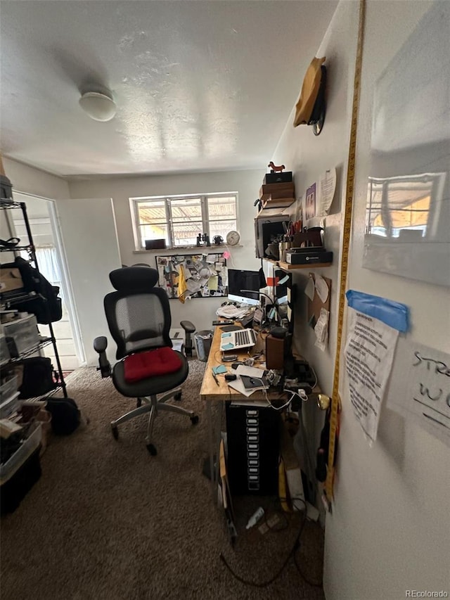 1265 Yates St, Denver, CO 80204 - home office featuring carpet flooring