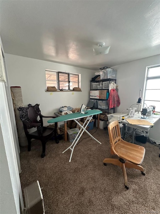 1265 Yates St, Denver, CO 80204 - playroom with carpet floors