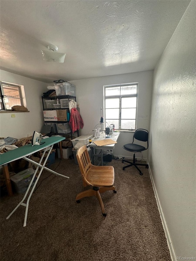 1265 Yates St, Denver, CO 80204 - office featuring carpet and a textured ceiling