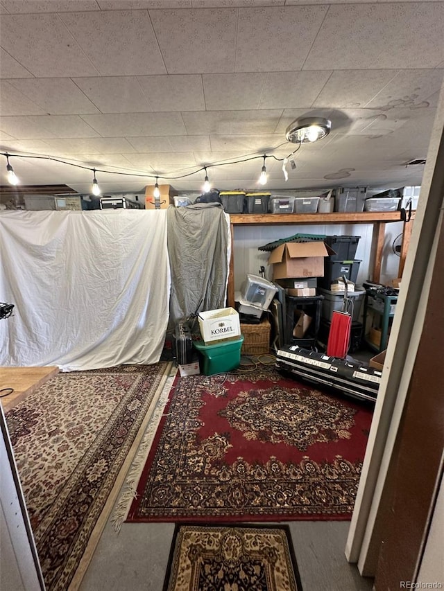 1265 Yates St, Denver, CO 80204 - below grade area with carpet flooring and track lighting