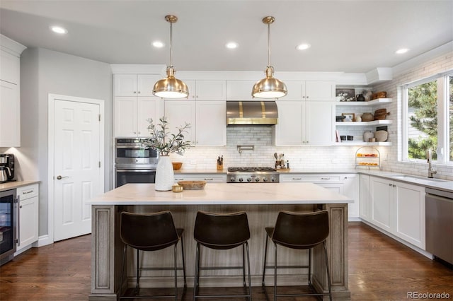 6175 Puma Sands, Lone Tree, CO 80124 - kitchen featuring a sink, wall chimney range hood, appliances with stainless steel finishes, backsplash, and white cabinetry