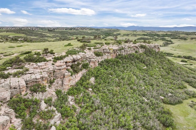 6175 Puma Sands, Lone Tree, CO 80124 - aerial view of property and surrounding area with mountains