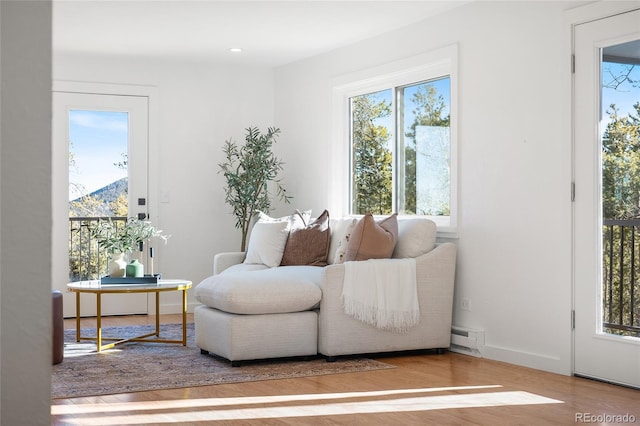 sitting room with a mountain view and hardwood / wood-style flooring