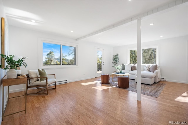 living room featuring light hardwood / wood-style flooring and plenty of natural light