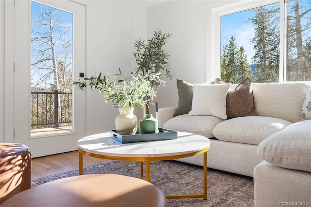 living room with plenty of natural light and hardwood / wood-style floors