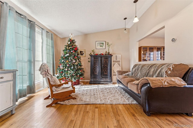 interior space featuring a textured ceiling, light hardwood / wood-style floors, and lofted ceiling