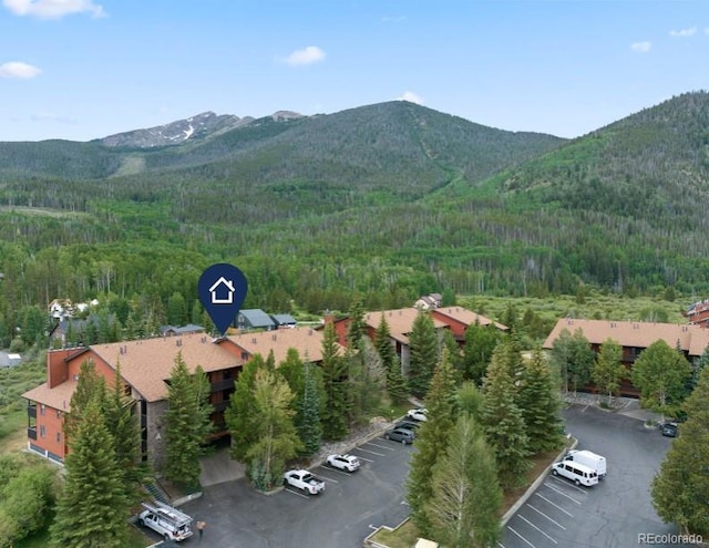 570 Bills Ranch Rd Unit 325, Frisco, CO 80443 - photo 1