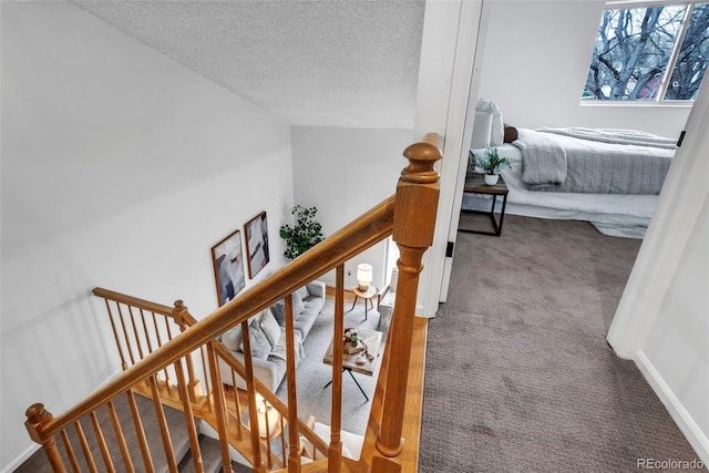 4248 Corriente Pl, Boulder, CO 80301 - stairs with carpet floors and a textured ceiling