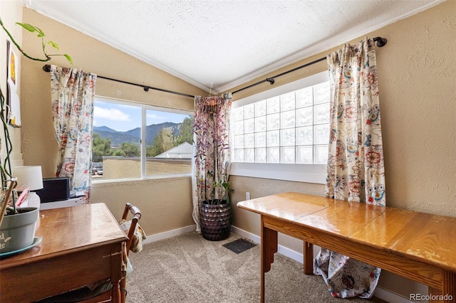 14 S 18th St, Colorado Springs, CO 80904 - photo 24
