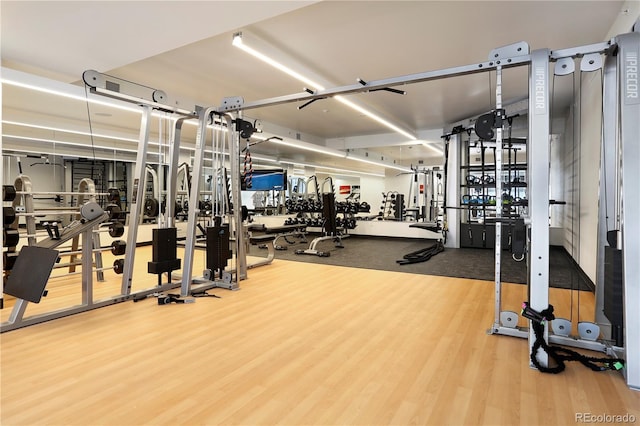 1750 Wewatta St Unit 525, Denver, CO 80202 - exercise room featuring wood finished floors